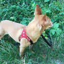 Soft Suede Leather Small Pet Dog Harness for Puppies Chihuahua Yorkie Teddy