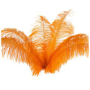 10 pcs Natural Ostrich Feathers Wedding Party Decoration Orange 20-25cm R1P8