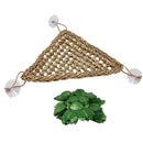 Bearded Dragon Hammock Lizard Lounger,100% Natural Seagrass Fibers for Rept J1R4