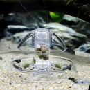 Snail Trap For Fish Tank,Aquarium Fish Plant Tank Plastic Clear Snail Trap  O8F4