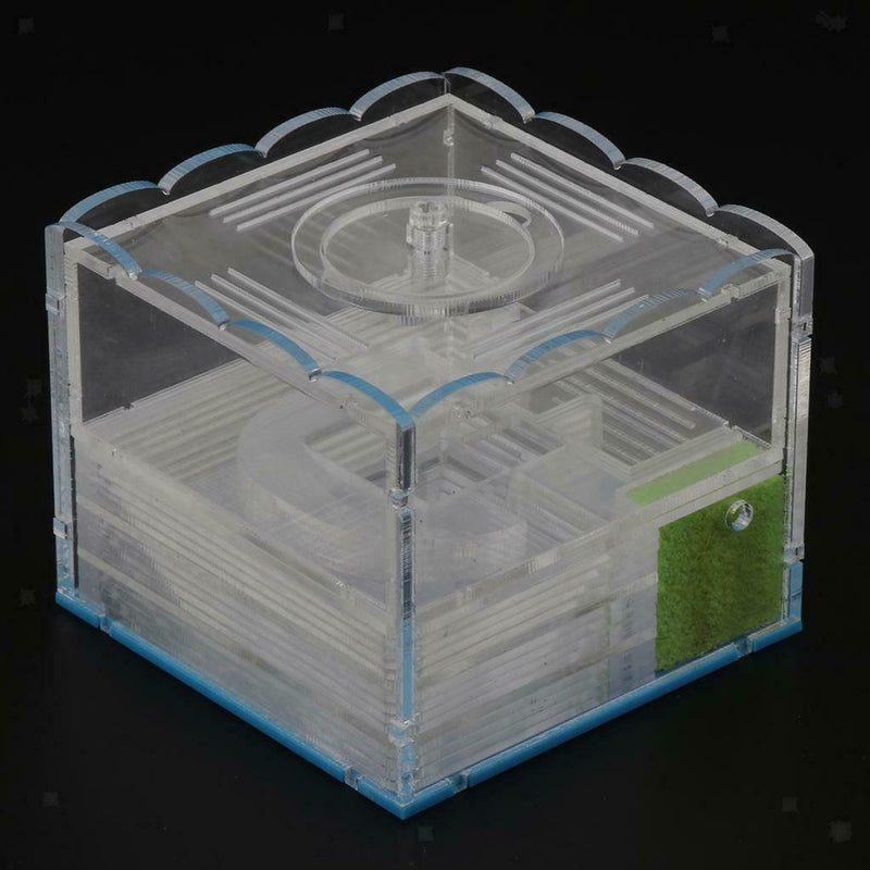 Clear Ant Feeding Nursery Box Ant Farm House Castle Insect Terrarium  L