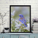 5D DIY Full Drill Diamond Painting Bird Embroidery Mosaic Craft Kits (w606)