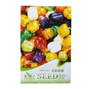 1 Bag 20 Seeds Colorful sweet pepper Ornamental