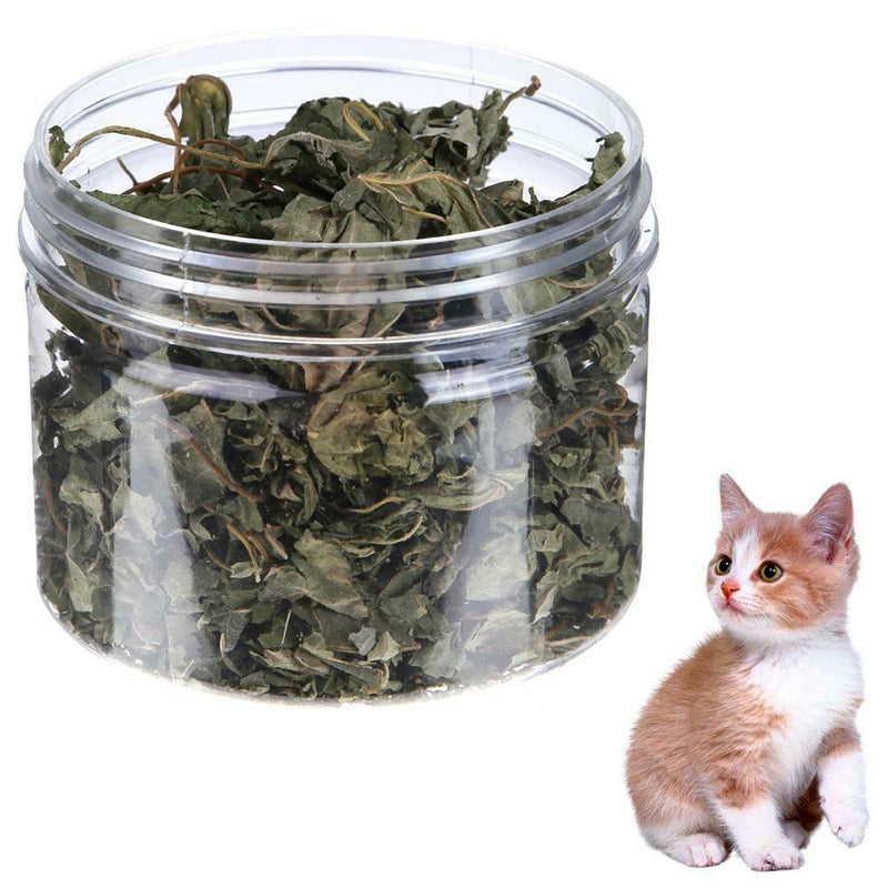 300ml Anti Calculi Natural Catnip Mint Leaves Grass Menthol Flavor Cat Toys