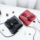 Fringe Tassel Bag Small Bags for Women PU Leather Women Shoulder Messenger BV9Y2