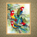 Parrots 5D Diamond Painting DIY Embroidery Cross Stitch Home Decor