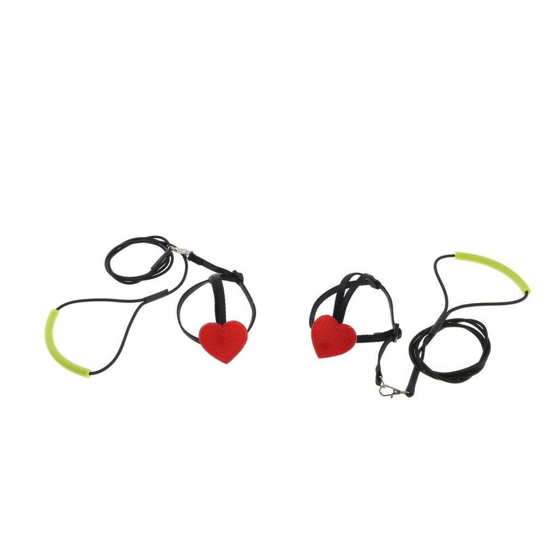 Adjustable Parrot Bird Harness Leash Anti-Bite