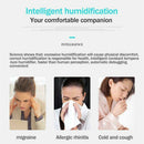 Portable Home Car USB Mist Maker Diffuser Air Purifier Humidifier Hydrating New