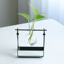 Hanging Flower Pot Vase With Black Metal Stand Single For Home Garden DecorA