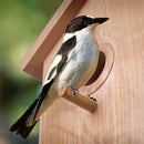 Bird House Window Birdhouse W/ Suction Cup Nests For Garden Bird Feeding M4Y4