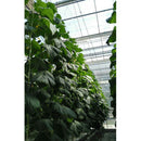17Pack 15m Gardern Tomato Hooks Vegetable Clamps For Planting Vegetable Cucumber