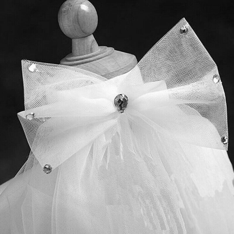 5X(Women Wedding Veil Dress White Bowknot Layers Tulle Ribbon Edge Bridal  M7H6)
