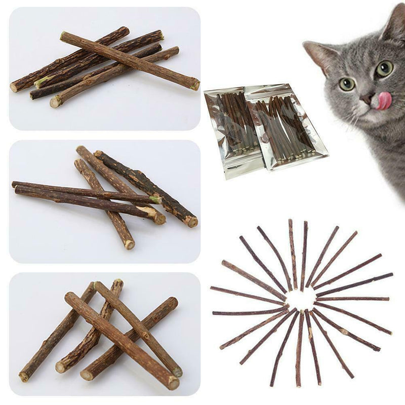 10x Cat Snacks Natural Matatabi Chew Catnip Stick Teeth Molar Cleaning Brus M1R8