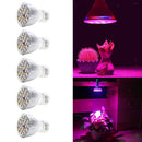 5x LED Plant Grow Lamp Bulb for Hydroponic Greenhouse E27 Full Spectrum