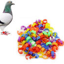 Bird Leg Bands 8mm Pigeon Chicks Bantam .Poultry Rings Plastic Split Leg  D K1Z0
