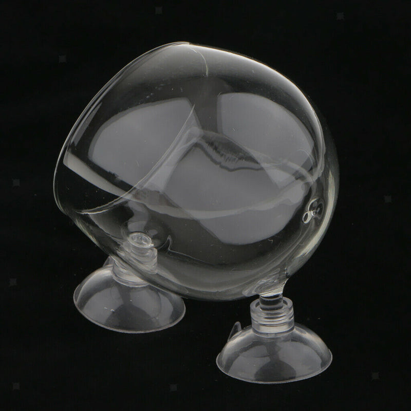 5Pcs Aquarium   Tank Glass Live Plant Cup Pot Crystal Red Shrimp Holder