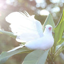 White Artificial Foam Feather Spreading Wings Simulation Dove Wedding Decor