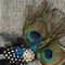 Bridal For Girls Jewelry Peacock Feather Head Accessories Daily Wedding Hair Pin