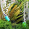 Flexible PVC Air Tubes Air Pump Accessories for Aquariums (26 Feet, Transpa