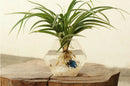 Flower Plant Wall Hanging Clear Glass Vase Bottle Pot Garden Hexagon Decor