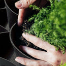 36 Pockets Vertical Hanging Wall Garden Planter Plant Grow Bag For Flower V