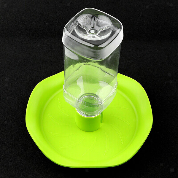 3x Reptile Pet Water Drinking Bottle Feed Frog Dispenser Bowl Feeder Green