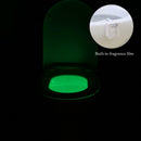 Bathroom Toilet Seat Lamp 16 Color Changing IR Sensor Aroma Night Light UV Lamp