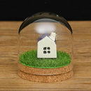 2pcs Cloche Jar Glass Cover Terrariums w/Wood Cork Dry Flower Vase
