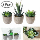 3Pcs Artificial Succulent Potted Plant Small Pots 7/8/14cm Indoor Outdoor Decor