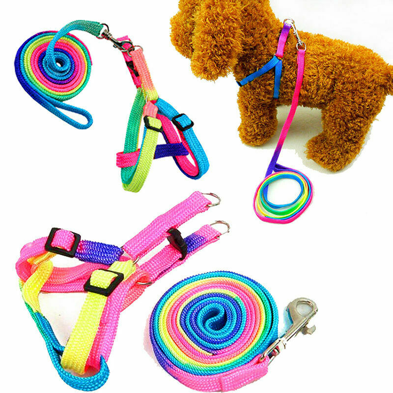 Small Pet Cat Puppy Kitten Rabbit Dog Harness Lead Leash Collar Adjustable U8T2