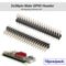 10pcs Dual Male Header 2.54mm 2x20pin Strip for Raspberry Pi Zero GPIO