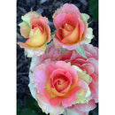 5D DIY Full Drill Diamond Painting Flowers Cross Stitch Embroidery (06)