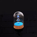 Clear Bell Doom Cover Jar Case Cork Base Micro Landscape Cabochon Holder