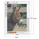 5D DIY Full Round Diamond Painting Donkey Rhinestones Cross Stitch (QF308) A