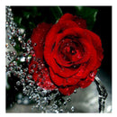 DIY 5D Diamond Painting Embroidery Cross Stitch Kit Wall Art Decor Red Rose