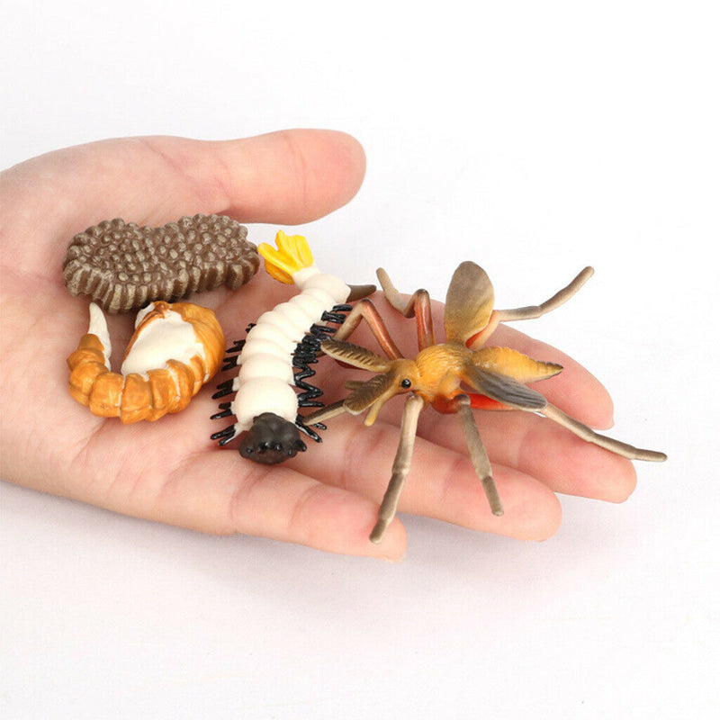 Realistic Life Cycle of Mosquito 4 Part Insects Hatchery Growth Figures Toys