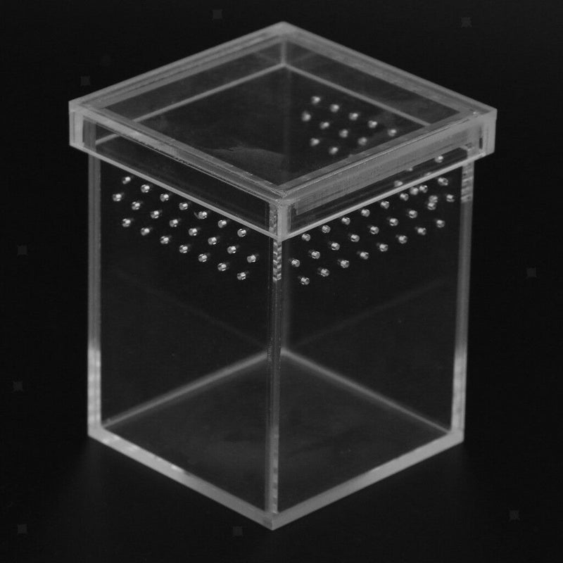 Acrylic Clear Insect Reptile Breeding Feeding Box - Ventilated