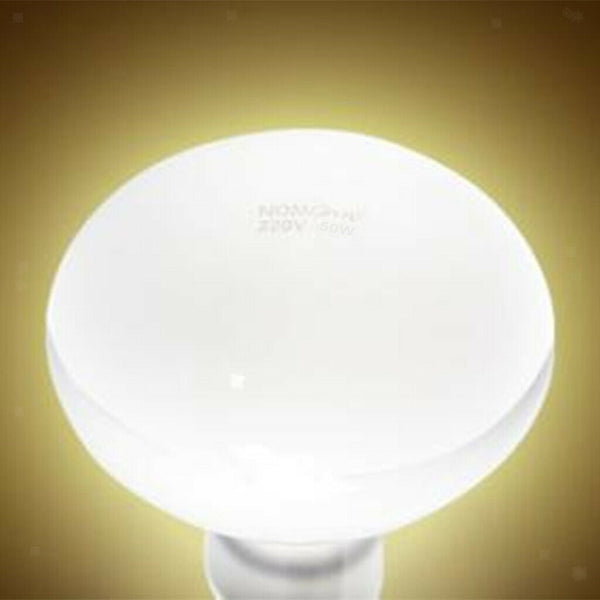 4 Pcs Reptile Daylight Basking Spot Lamp Heat Lighting Bulb Sun Light 50W