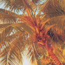 Photography Backdrops Vinyl Backgrounds Props 5x3FT Photo Beach sunset beau L5D3
