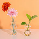 Glass Bubble Flower Vase Glass Planter Hydroponics Air Plant Bulb 2 Balls