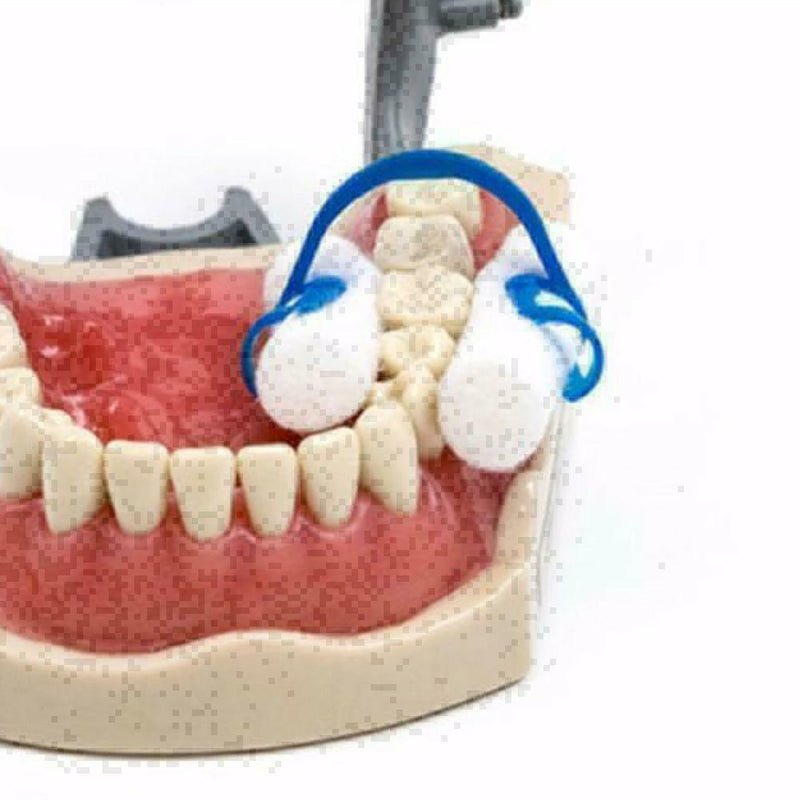 20Pcs Cotton Roll Holder Clip Disposable Dental Isolator Hot Clinic Tool Bl Z3P8