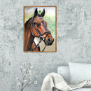 5D DIY Full Drill Diamond Painting Horse Cross Stitch Embroidery Kit (F)
