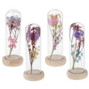 Glass Display Cloche Jar Dome Flower Immortal Preservation Vase Ornament