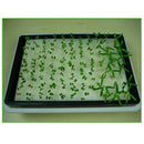 5pcs Soilless Vegetable Seedling Sponge Home Garden Space-saving Seadling