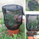 Insect Feeding Net Garden Plant Sunshade Terrarium Cover Cage Butterfly Habitat