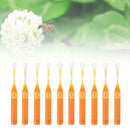 10Pcs Bee Swarm Attractant Lures Bait Trap Beekeeping Hive Honey Fruits Tools
