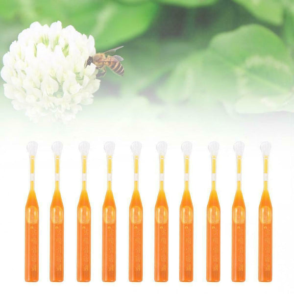 10Pcs Bee Swarm Attractant Lures Bait Trap Beekeeping Hive Honey Fruits Tools