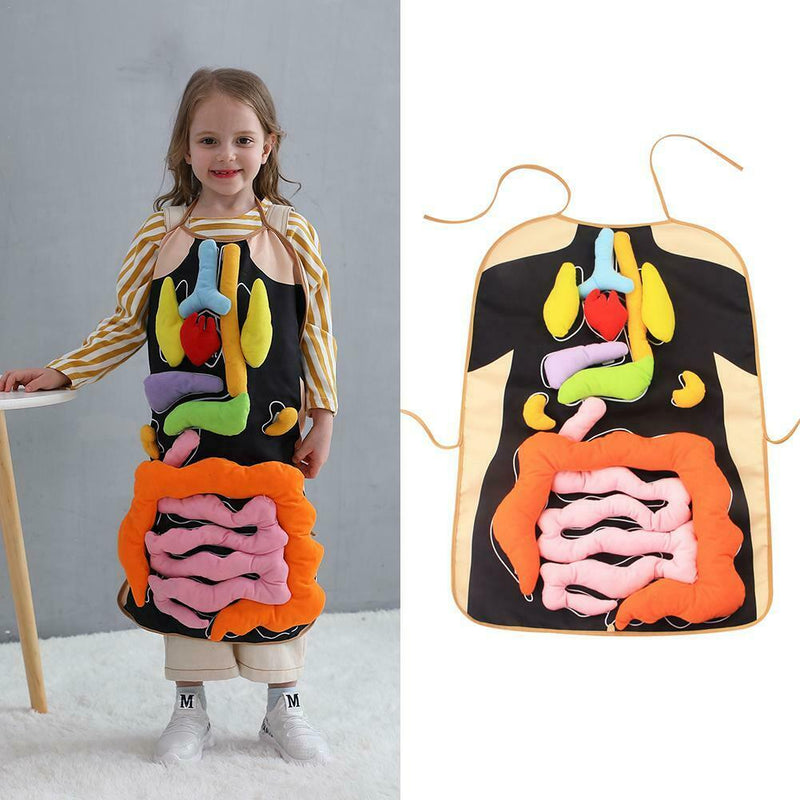 Human Body Organs Apron Awareness Insights Educational Toys for Children New