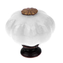 10X Pumpkin Ceramic Handles and Knobs Kitchen Cabinet  Furniture Pulls  2