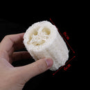 6Pcs Natural Loofah Luffa Loofa Spa Bath Sponge Kitchen Clean Scrubber Exotic ME